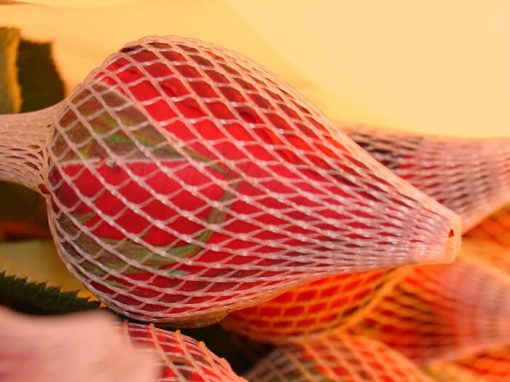Redes Plásticas Para Rosas e Gérberas