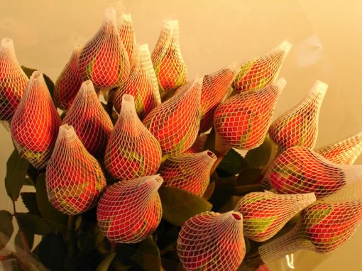 Redes Plásticas Para Rosas e Gérberas - Imagem 2