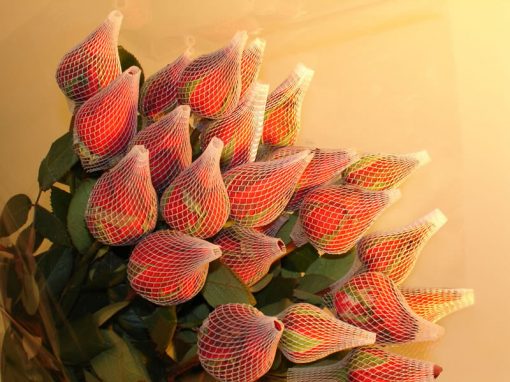 Redes Plásticas Para Rosas e Gérberas - Imagem 3