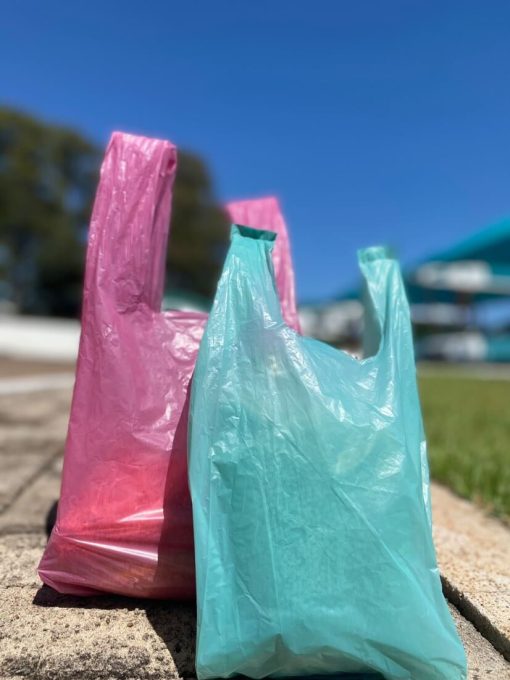Sacolas Recuperadas - Imagem 4