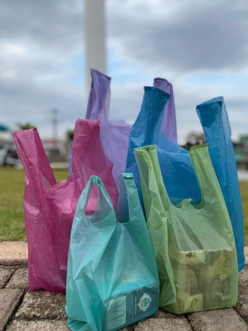 Sacolas Recuperadas - Imagem 5
