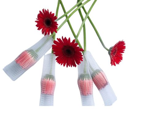 Redes Plásticas Para Rosas e Gérberas - Imagem 6