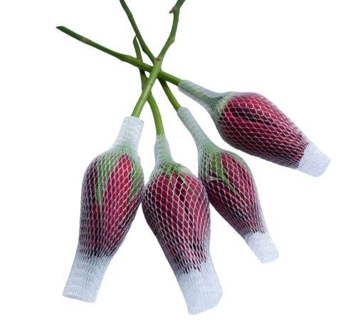 Redes Plásticas Para Rosas e Gérberas - Imagem 8